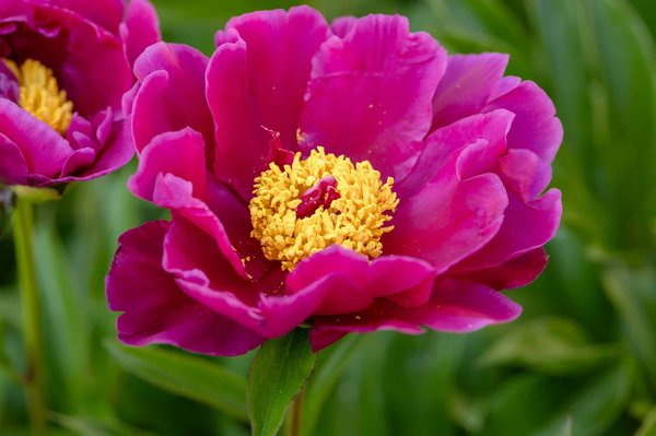 Quali sono i migliori materiali ecocompatibili per la costruzione di case prefabbricate a basso consumo energetico?